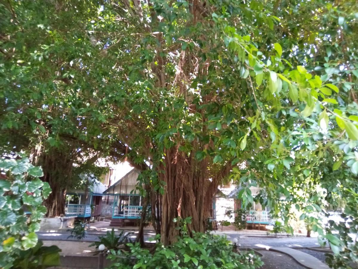 Blu' Beach Bungalows ラマイビーチ エクステリア 写真